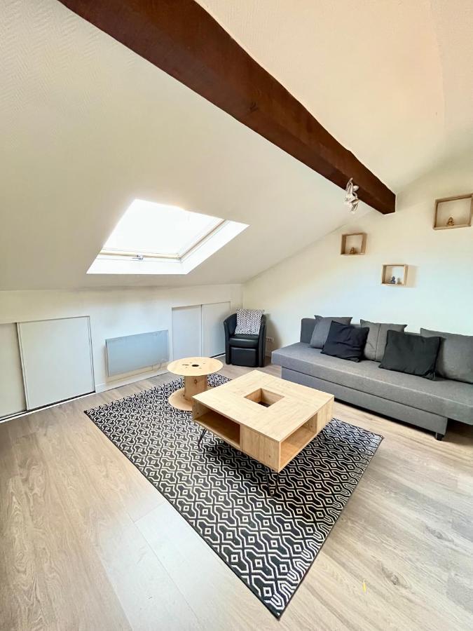 Pin'S - Magnifique Appartement Sarrebourg Exteriér fotografie